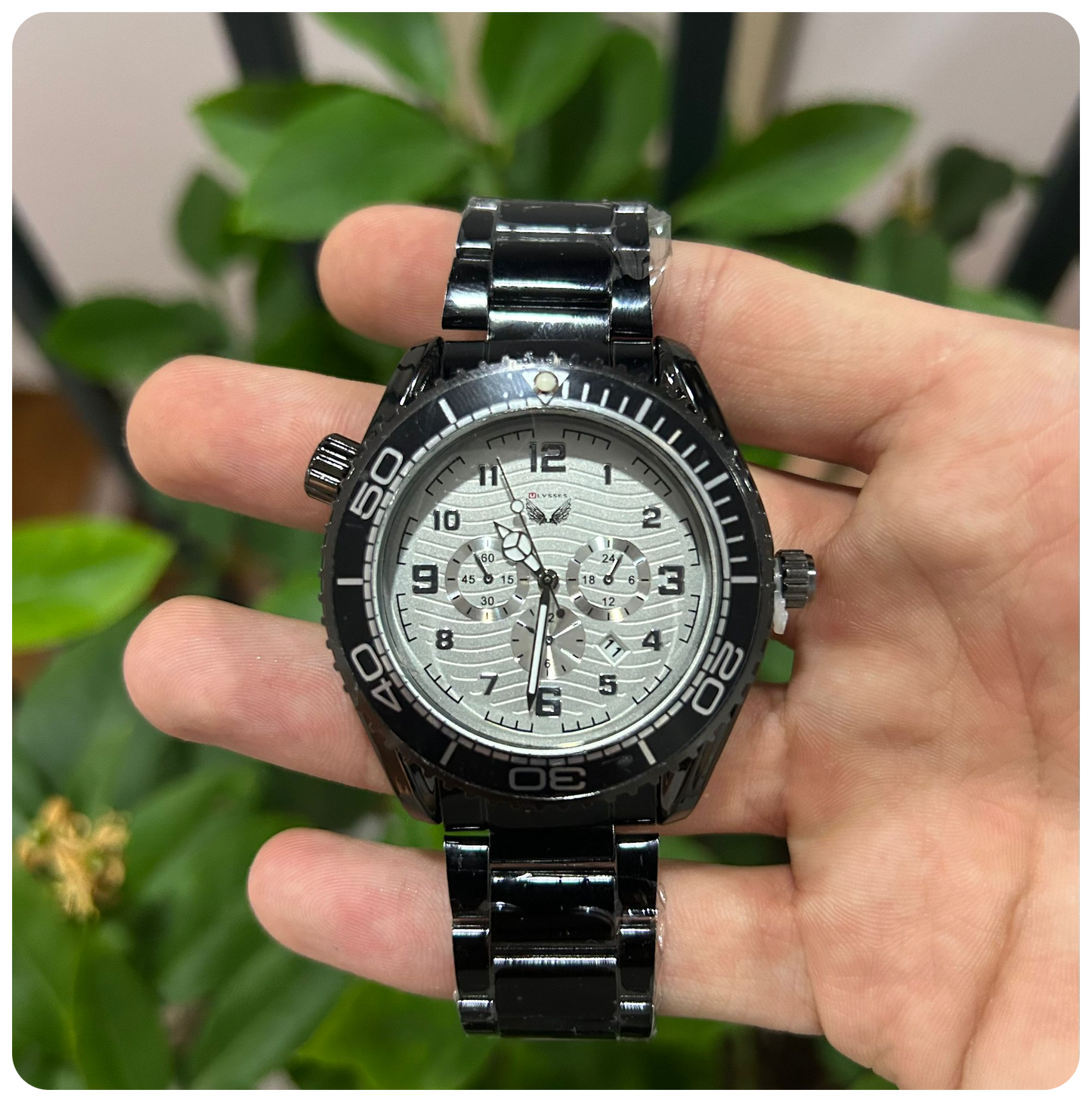 Ulysses Chrono arctic white