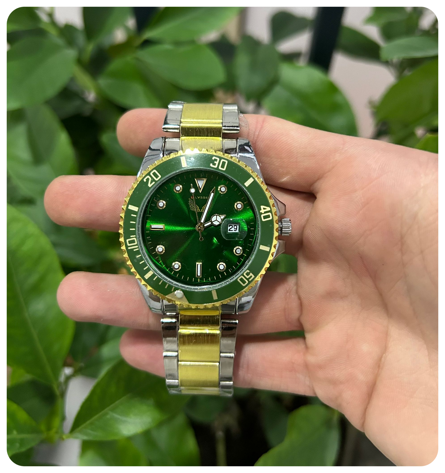 Ulysses Imperial Jade